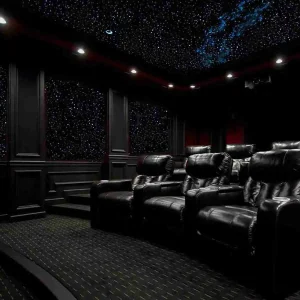 Sanli LED 4x12W RGBW LED Fiber Optic Star Ceiling Kit Application | Fiberopticslight.com