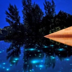 Sanli LED 80W LED Fiber Optic Pool Light Box LEI-8001/WP for Pool Star | Fiberopticslight.com